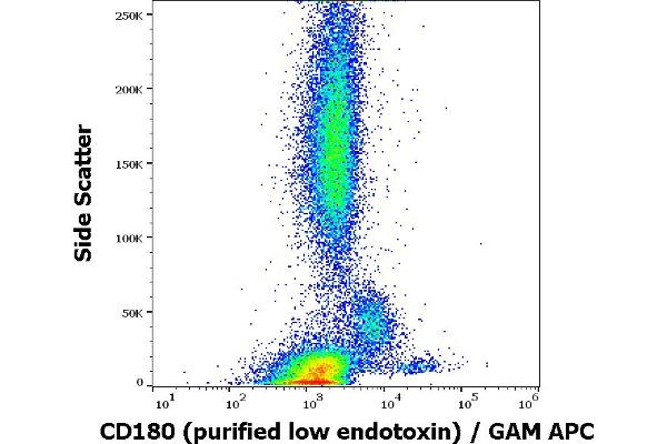 CD180 antibody