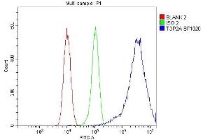 Flow Cytometry analysis of 293T cells using anti-TOP2A antibody (ABIN7602988).