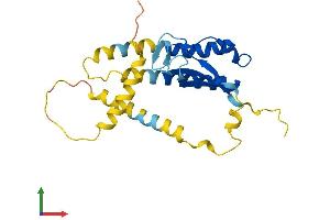 AlphaFold protein structure predicition of Human Recombinant CHIC1 Protein, UniprotID Q5VXU3