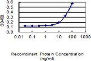 Detection limit for recombinant GST tagged TNFAIP2 is 3 ng/ml as a capture antibody. (TNFAIP2 antibody  (AA 552-650))