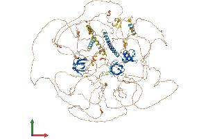 AlphaFold protein structure predicition of Human Recombinant SORBS1 Protein, UniprotID Q9BX66