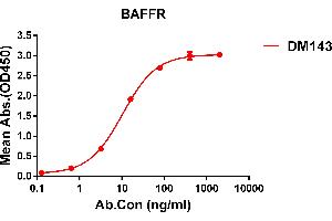 ELISA plate pre-coated by 1 μg/mL (100 μL/well) Human BAFFR protein, mFc tagged protein ((ABIN6961114, ABIN7042257 and ABIN7042258)) can bind Rabbit anti-BAFFR monoclonal antibody(clone: DM143) in a linear range of 0.