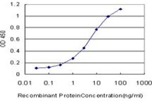 Detection limit for recombinant GST tagged CDK4 is approximately 0. (CDK4 antibody  (AA 211-303))