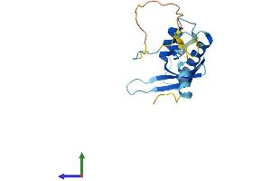 Protein Structure (PS) image for Sorting Nexin 24 (SNX24) (AA 1-169) protein (His tag) (ABIN7560630)