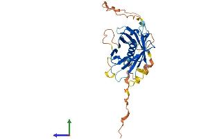 AlphaFold protein structure predicition of Human Recombinant PLSCR3 Protein, UniprotID Q9NRY6