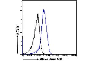 (ABIN334388) Flow cytometric analysis of paraformaldehyde fixed U251 cells (blue line), permeabilized with 0. (DRD5 antibody  (Internal Region))