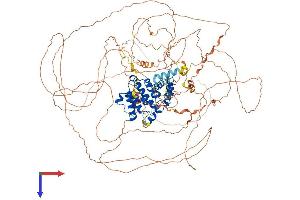 AlphaFold protein structure predicition of Mouse Recombinant Arhgap30 Protein, UniprotID Q640N3