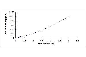 Typical standard curve (TNFSF14 ELISA Kit)