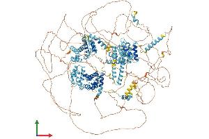 Protein Structure (PS) image for Eukaryotic Translation Initiation Factor 4 gamma 3 (EIF4G3) (AA 1-1579) protein (His tag) (ABIN7564285)