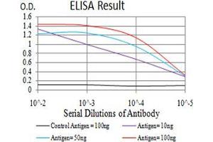 Black line: Control Antigen (100 ng);Purple line: Antigen (10ng); Blue line: Antigen (50 ng); Red line:Antigen (100 ng) (Calretinin antibody  (AA 172-271))