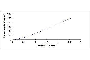 Typical standard curve (PLEC ELISA Kit)