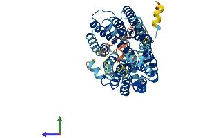 AlphaFold protein structure predicition of Human Recombinant MFSD13A Protein, UniprotID Q14CX5 (TMEM180 Protein (AA 1-517) (His tag))