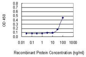 Detection limit for recombinant GST tagged VDAC2 is 10 ng/ml as a capture antibody. (VDAC2 antibody  (AA 1-294))