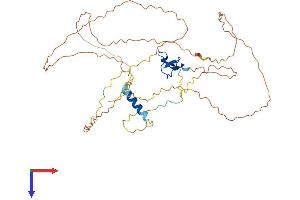 AlphaFold protein structure predicition of Human Recombinant C12orf50 Protein, UniprotID Q8NA57 (C12ORF50 Protein (AA 1-414) (His tag))
