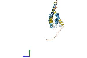 AlphaFold protein structure predicition of Mouse Recombinant Gjb1 Protein, UniprotID P28230 (GJB1 Protein (AA 1-283) (His tag))