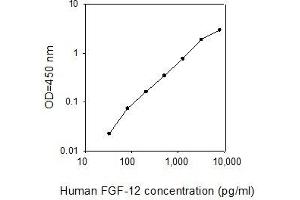 ELISA image for Fibroblast Growth Factor 12 (FGF12) ELISA Kit (ABIN2703006)