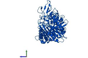 Protein Structure (PS) image for phosphoenolpyruvate Carboxykinase 1 (Soluble) (PCK1) (AA 1-622) protein (His tag) (ABIN7556447)