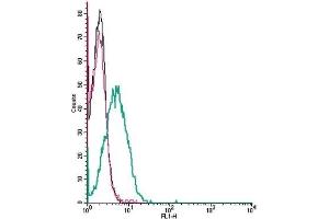 Cell surface detection of SLC41A2 by indirect flow cytometry in live intact human Jurkat T-cell leukemia cells:  (black line) Cells. (SLC41A2 antibody  (Extracellular, N-Term))