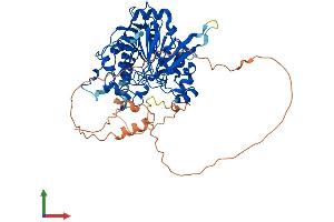 AlphaFold protein structure predicition of Mouse Recombinant Dbr1 Protein, UniprotID Q923B1 (DBR1 Protein (AA 1-550) (His tag))