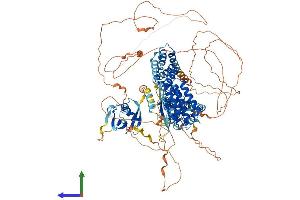 AlphaFold protein structure predicition of Mouse Recombinant Rin3 Protein, UniprotID P59729