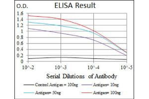 Red: Control Antigen (100ng) ; Purple: Antigen (10ng) ; Green: Antigen (50ng) ; Blue: Antigen (100ng). (NAPSA antibody  (AA 20-158))