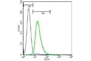 U937 cells probed with Rabbit Anti-CLEC5A Polyclonal Antibody, FITC Conjugated .