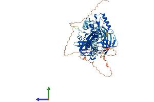 AlphaFold protein structure predicition of Mouse Recombinant Gtpbp1 Protein, UniprotID O08582