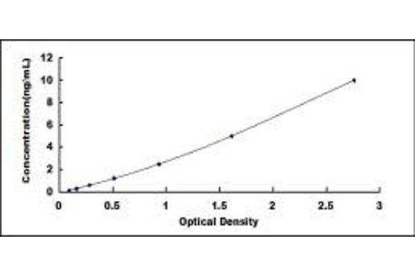 RAMP2 ELISA Kit