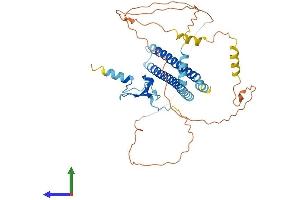 AlphaFold protein structure predicition of Mouse Recombinant Ing3 Protein, UniprotID Q8VEK6 (ING3 Protein (AA 1-421) (His tag))