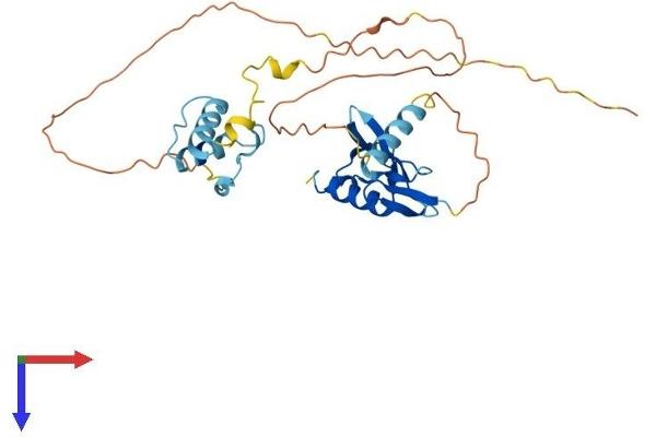 DPPA4 Protein (AA 1-296) (His tag)