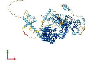 AlphaFold protein structure predicition of Mouse Recombinant Dhx34 Protein, UniprotID Q9DBV3