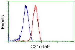 Flow Cytometry (FACS) image for anti-Chromosome 21 Open Reading Frame 59 (C21orf59) antibody (ABIN1497044) (C21orf59 antibody)