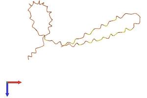 Keratin Associated Protein 12-1 (KRTAP12-1) (AA 1-96) protein (Fc Tag)