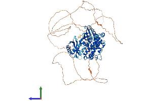 AlphaFold protein structure predicition of Mouse Recombinant Mark1 Protein, UniprotID Q8VHJ5
