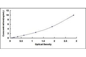 Typical standard curve (SOSTDC1 ELISA Kit)