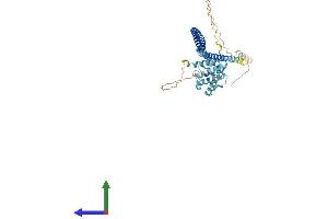 AlphaFold protein structure predicition of Mouse Recombinant Ift57 Protein, UniprotID Q8BXG3 (IFT57 Protein (AA 1-429) (His tag))