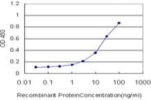 Detection limit for recombinant GST tagged HEYL is approximately 0. (HEYL antibody  (AA 221-327))