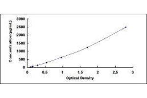 ELISA image for Secreted phosphoprotein 1 (SPP1) ELISA Kit (ABIN415404)