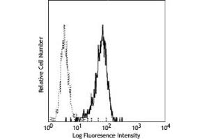 Image no. 1 for anti-Integrin alpha M (ITGAM) antibody (ABIN205316) (CD11b antibody)