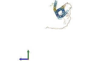 AlphaFold protein structure predicition of Mouse Recombinant Odf4 Protein, UniprotID Q8VI88 (ODF4 Protein (AA 1-290) (His tag))