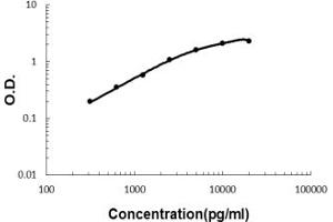 Sandwich ELISA - Recombinant mouse MBL2 protein standard curve. (MBL2 antibody  (AA 39-229))