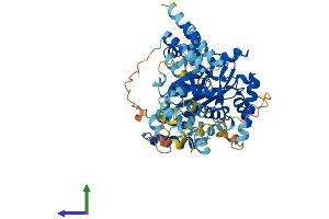 AlphaFold protein structure predicition of Human Recombinant JRKL Protein, UniprotID Q9Y4A0