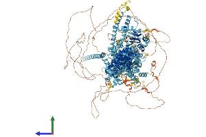 AlphaFold protein structure predicition of Mouse Recombinant Trpm1 Protein, UniprotID Q2TV84