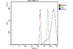 Flow Cytometry analysis of HepG2 cells using anti-MIPOL1 antibody (ABIN7602207). (MIPOL1 antibody  (AA 63-399))