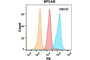EPCAM protein is highly expressed on the surface of Expi293 cell membrane. (EpCAM antibody  (AA 24-314))
