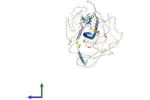 AlphaFold protein structure predicition of Mouse Recombinant Rab11fip3 Protein, UniprotID Q8CHD8 (RAB11FIP3 Protein (AA 1-1047) (His tag))