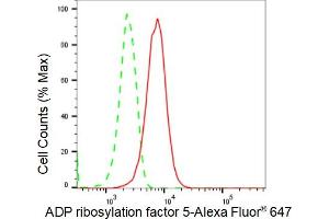 Flow cytometric analysis of ADP ribosylation factor 5 expression in HepG2 cells using ADP ribosylation factor 5 antibody (ABIN7797531), 1:2,000). (Recombinant ARF5 antibody)