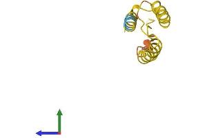 AlphaFold protein structure predicition of Human Recombinant LINC00575 Protein, UniprotID Q6W349 (C4orf11 Protein (AA 1-94) (His tag))