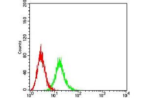 Flow cytometric analysis of Ramos cells using CD107b mouse mAb (green) and negative control (red). (LAMP2 antibody  (AA 29-168))