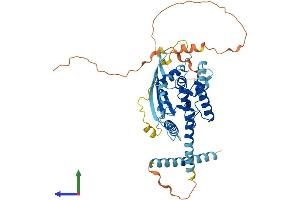 AlphaFold protein structure predicition of Mouse Recombinant Septin4 Protein, UniprotID P28661 (Septin 4 Protein (SEPT4) (AA 1-478) (His tag))